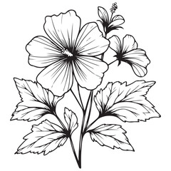 black and white flower vector