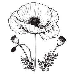 black and white flower vector