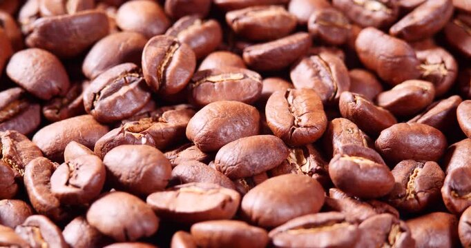 Arabica Coffee Beans Maragogipe Rotating Background. Elephant Beans
