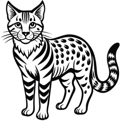 Bobcat illustration flat vector design