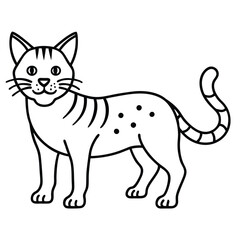 Bobcat illustration flat vector design