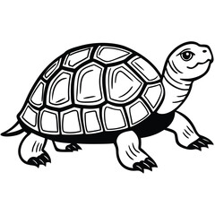 Fototapeta premium Box Turtle illustration flat vector design