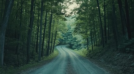 Obraz premium A Winding Forest Road Surrounded By Tall Green Trees