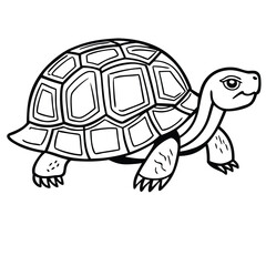 Fototapeta premium Box Turtle illustration flat vector design