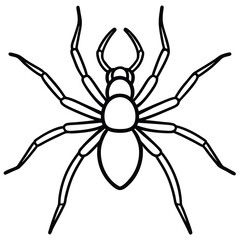 Fototapeta premium Brown Recluse Spider illustration flat vector design