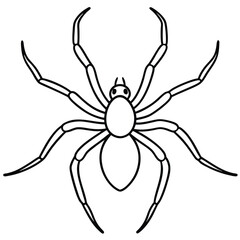 Obraz premium Brown Recluse Spider illustration flat vector design