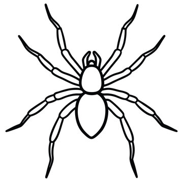 Brown Recluse Spider illustration flat vector design