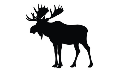  Moose silhouette, Walking moose graphic, Moose black vector, Wild animal silhouette illustration
