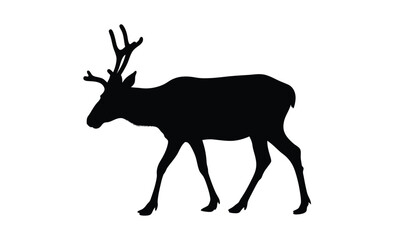  Moose silhouette, Walking moose graphic, Moose black vector, Wild animal silhouette illustration