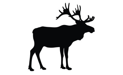  Moose silhouette, Walking moose graphic, Moose black vector, Wild animal silhouette illustration