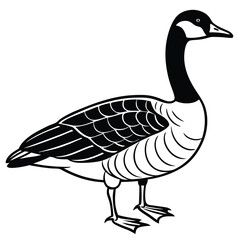 Canada Goose illustration flat vector design