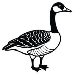 Canada Goose illustration flat vector design