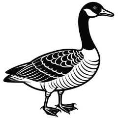Canada Goose illustration flat vector design