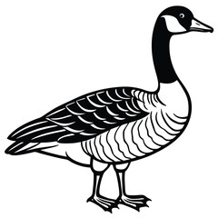 Canada Goose illustration flat vector design