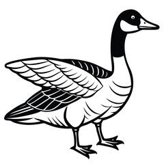 Canada Goose illustration flat vector design