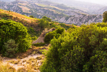 Fototapeta premium rural countryside landscape inside the badlands national Park during a sunny summer day, Val d'Agri, Basilicata