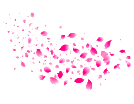 pink sakura petal flying floating in air isolated on transparent png - Powered by Adobe