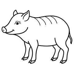 Collared Peccary illustration flat vector design