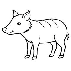 Collared Peccary illustration flat vector design