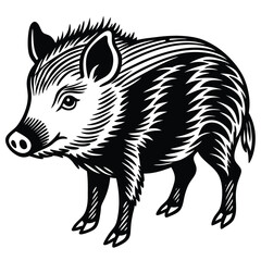 Collared Peccary illustration flat vector design