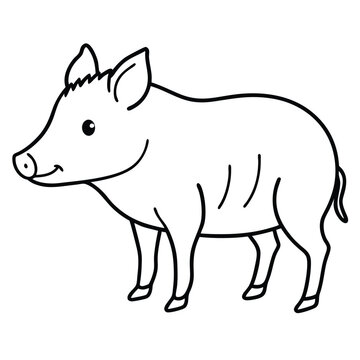 Collared Peccary illustration flat vector design