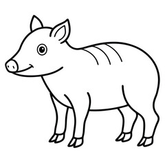 Collared Peccary illustration flat vector design