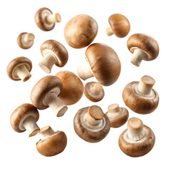 set of mushrooms