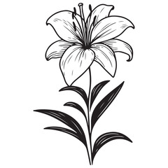black and white flower vector