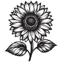 black and white flower vector