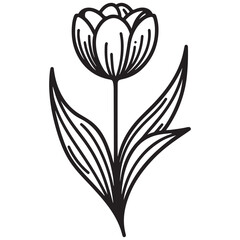 black and white flower vector