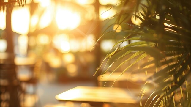 Abstract beach club blur suggests elite lifestyle and aspirational rest