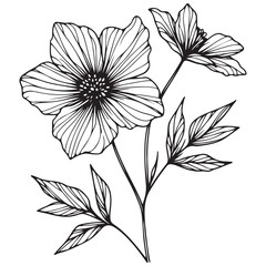 black and white flower vector