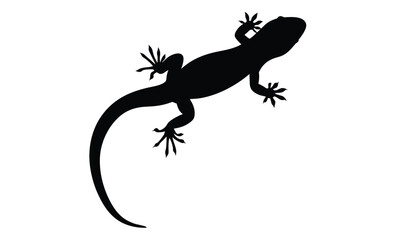 Fototapeta premium Lizard silhouette illustration, Reptile animal icon, Gecko shape graphic