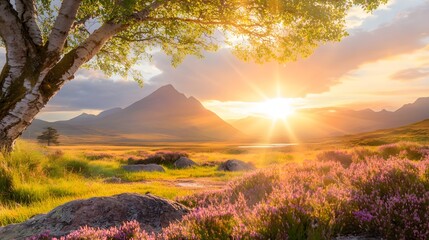 Vibrant Sunrise Over Majestic Mountains and Colorful Heather Field in a Serene Landscape