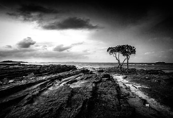 Black and white photo of a bridge over the sea at sunset.