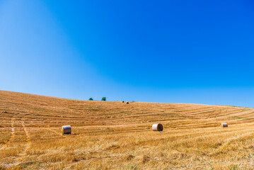 Fototapeta premium rural countryside landscape during a sunny summer day inside Val d'Agri, Basilicata