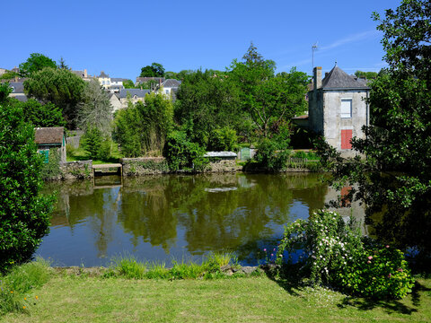 Fresnay on Sarthe and its river and a flowering bush. Fresnay sur Sarthe is a commune in the Sarthe department in the region of Pays de la Loire in north-western France  