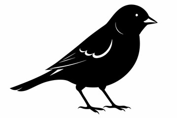 linnet sihouette black vector