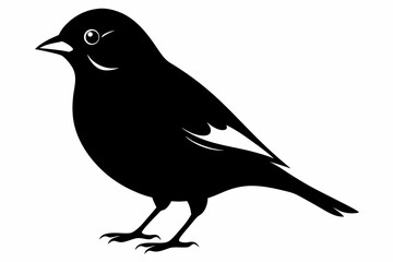 linnet sihouette black vector