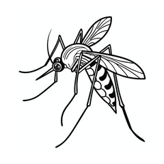 A Mosquito Vector art illustration