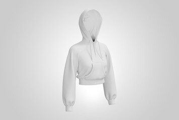 A mockup of a hooded sweatshirt with a zipper