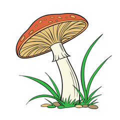 vector illustration of mushroom