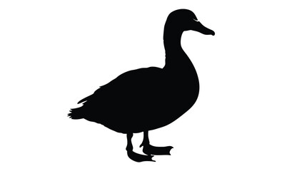 Duck silhouette illustration, Waterfowl bird icon, Simple animal vector design