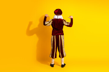 Regal figure in medieval attire posed before bright yellow backdrop