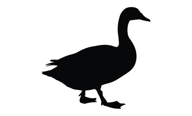 Duck silhouette illustration, Waterfowl bird icon, Simple animal vector design