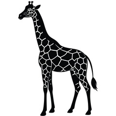 Obraz premium wild giraffe