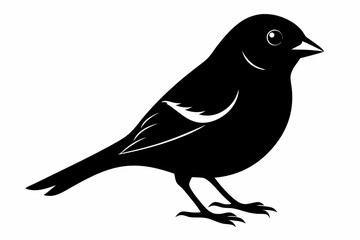 Obraz premium Chaffinch silhouette black vector