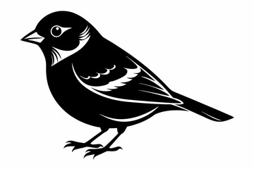 Obraz premium Chaffinch silhouette black vector