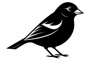 Chaffinch silhouette black vector