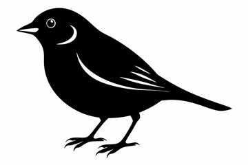 Chaffinch silhouette black vector